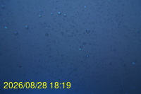 Img20260828_181943.jpg