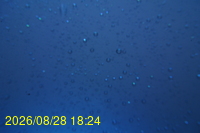 Img20260828_182443.jpg