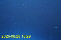 Img20260828_182943.jpg