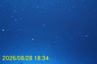 Img20260828_183443.jpg