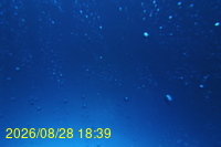 Img20260828_183943.jpg