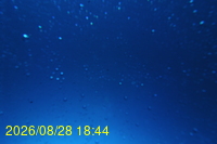 Img20260828_184443.jpg