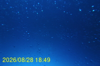Img20260828_184943.jpg