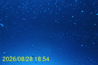 Img20260828_185443.jpg