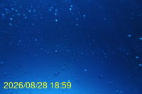 Img20260828_185943.jpg