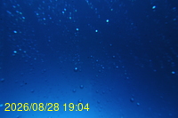 Img20260828_190443.jpg