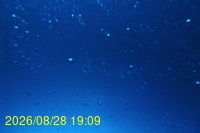 Img20260828_190943.jpg