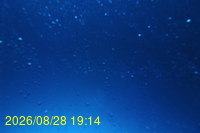 Img20260828_191443.jpg