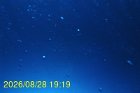 Img20260828_191943.jpg