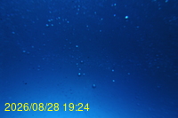 Img20260828_192443.jpg