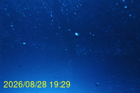 Img20260828_192943.jpg