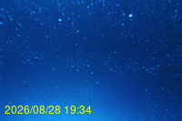 Img20260828_193443.jpg