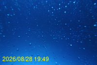 Img20260828_194943.jpg