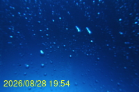 Img20260828_195443.jpg