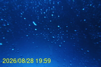 Img20260828_195943.jpg