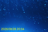 Img20260828_200443.jpg