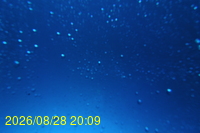 Img20260828_200943.jpg