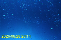 Img20260828_201443.jpg