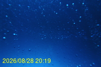 Img20260828_201943.jpg