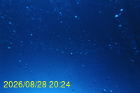 Img20260828_202443.jpg
