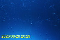Img20260828_202943.jpg