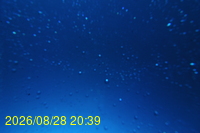 Img20260828_203943.jpg