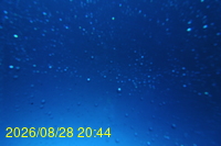 Img20260828_204443.jpg