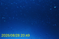 Img20260828_204943.jpg