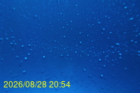 Img20260828_205443.jpg