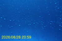 Img20260828_205943.jpg