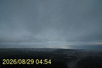 Img20260829_045445.jpg