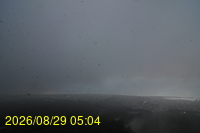 Img20260829_050444.jpg
