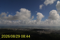 Img20260829_084445.jpg