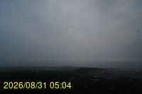 Img20260831_050453.jpg
