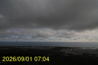 Img20260901_070458.jpg