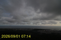 Img20260901_071458.jpg