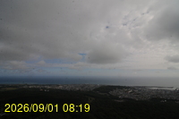 Img20260901_081958.jpg