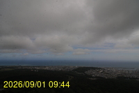 Img20260901_094458.jpg