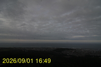 Img20260901_164959.jpg