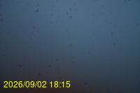 Img20260902_181504.jpg
