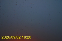 Img20260902_182004.jpg