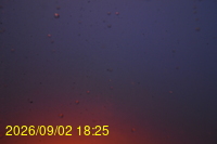 Img20260902_182504.jpg