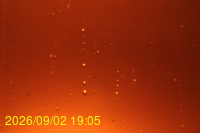 Img20260902_190504.jpg