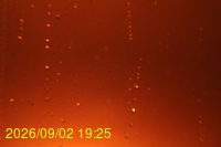 Img20260902_192504.jpg