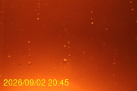 Img20260902_204505.jpg