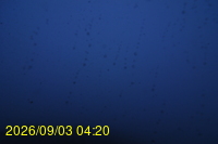 Img20260903_042006.jpg