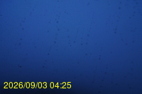 Img20260903_042506.jpg