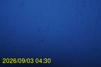 Img20260903_043006.jpg