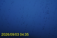 Img20260903_043506.jpg