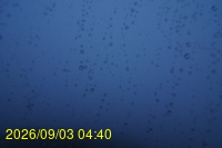 Img20260903_044006.jpg